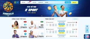 Một số thông tin giới thiệu nổi bật về nhà cái cá cược 8Live